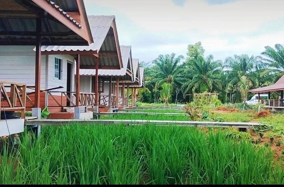 ปารมีฟาร์มสเตย์ Takuapa Экстерьер фото